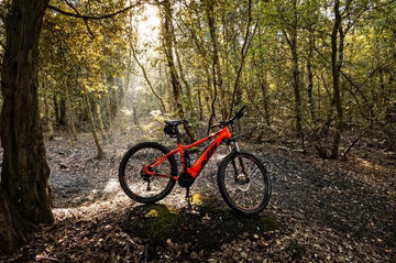 off-road electric bike