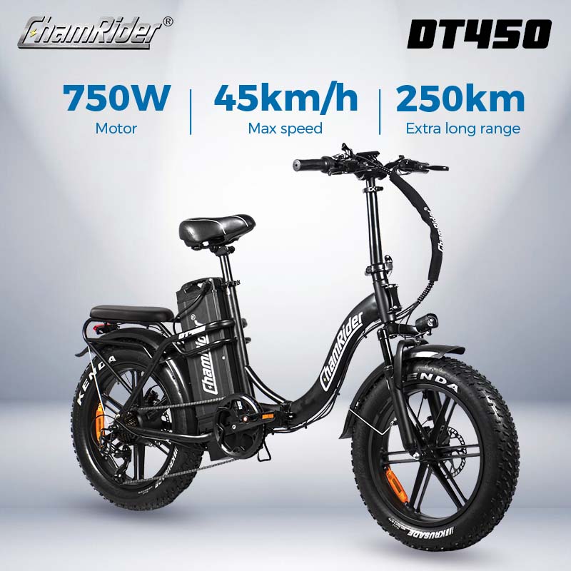 ChamRider DT450 Ebike: 250KM Range, 750W Power - Main Image