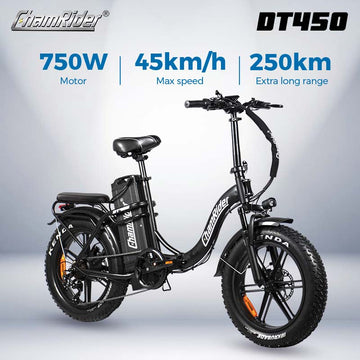 ChamRider DT450 Ebike - 48V50AH Monster Battery, 250KM Epic Range & 750W Power - Ultimate Pick for European Delivery Experts