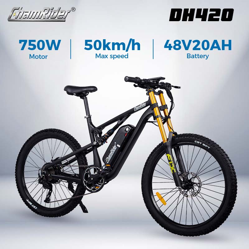 Mountain Bike Best 48v Ebike Battery ChamRider DH420: All