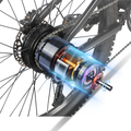 ChamRider DH420 rear motor