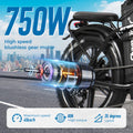 ChamRider DT450