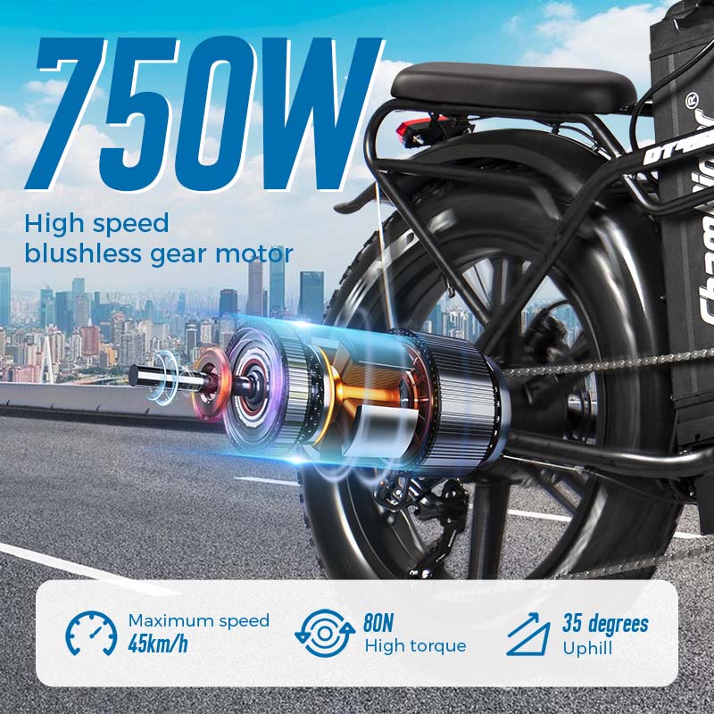 ChamRider DT450