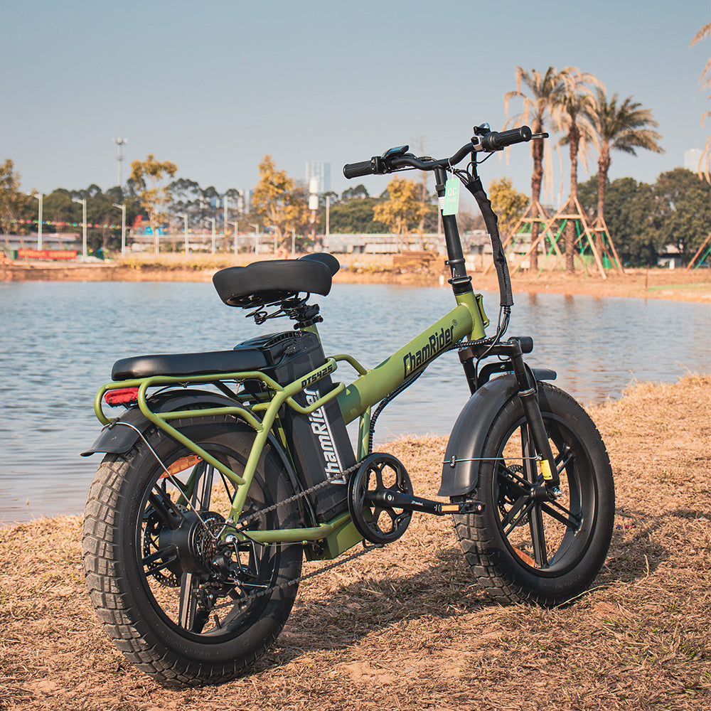 ChamRider DTS425