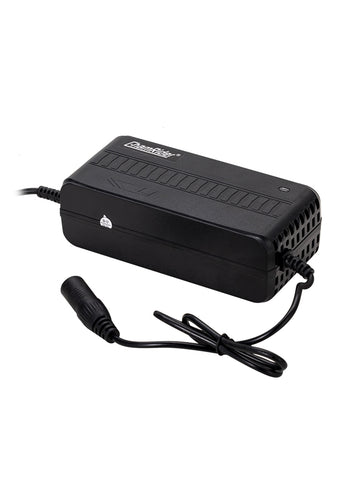 ChamRider E - bike Battery Charger - Efficient, Safe & Portable for European Cyclists & Of Delivery driver