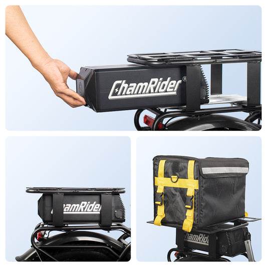 ChamRider DT450