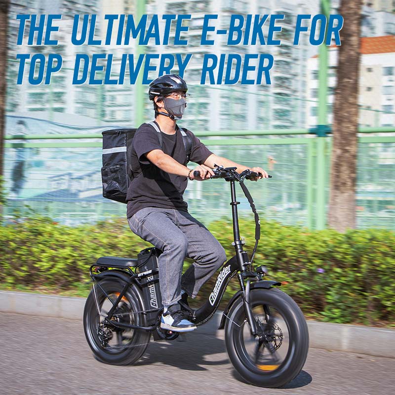 ChamRider DT450 48V E-Bike