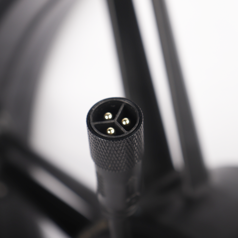 ChamRider e-bike motor
