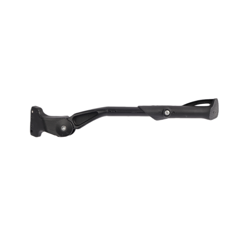 ChamRider ebike stand