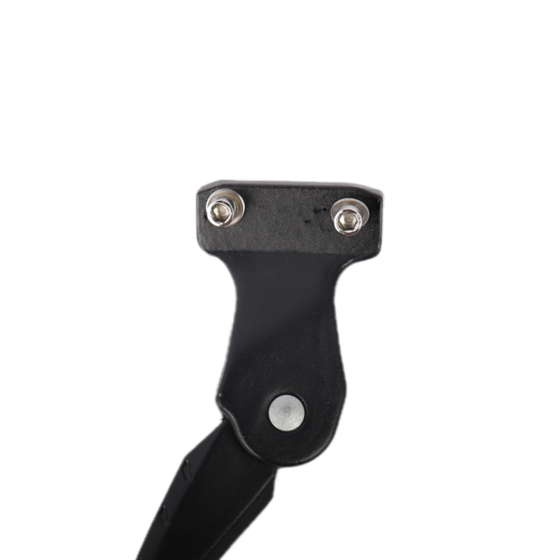 ChamRider ebike stand
