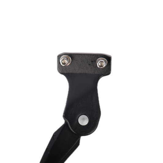 ChamRider ebike stand