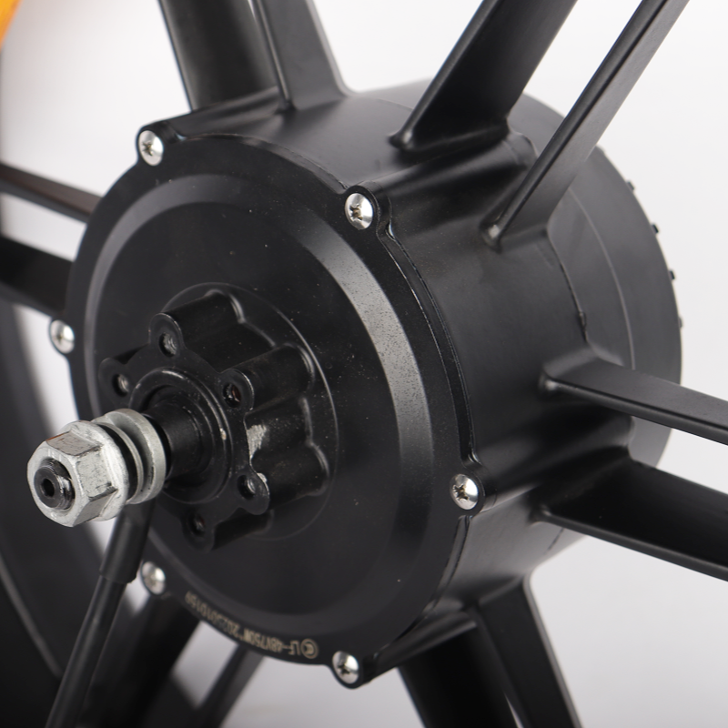 ChamRider DT/DTS E-bike Wheel Motor: High-Torque Brushless, Long Battery Range for EU Riders 48V 750W Integrated Wheel Motor, 20" Wheel, 175mm Dropout ( single integrated wheel motorr)