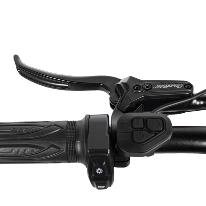 ChamRider brake lever