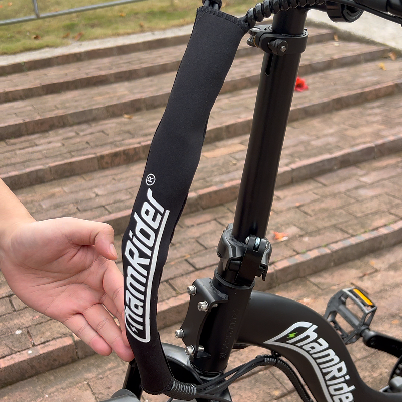e-bike protection