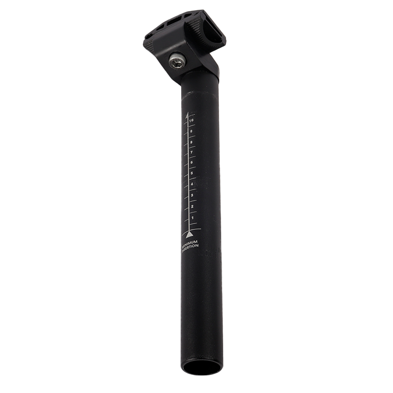 DM427 bike post