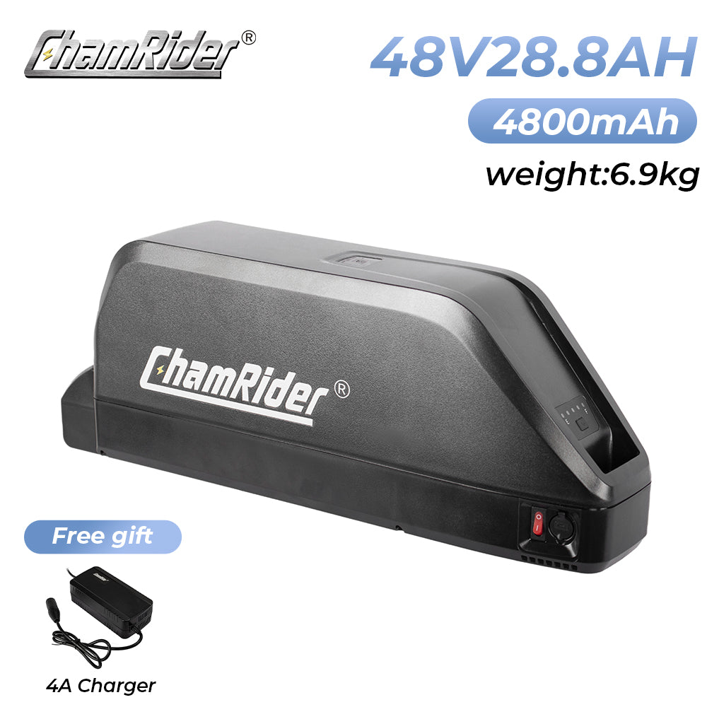 ChamRIder-battery-polly c-1