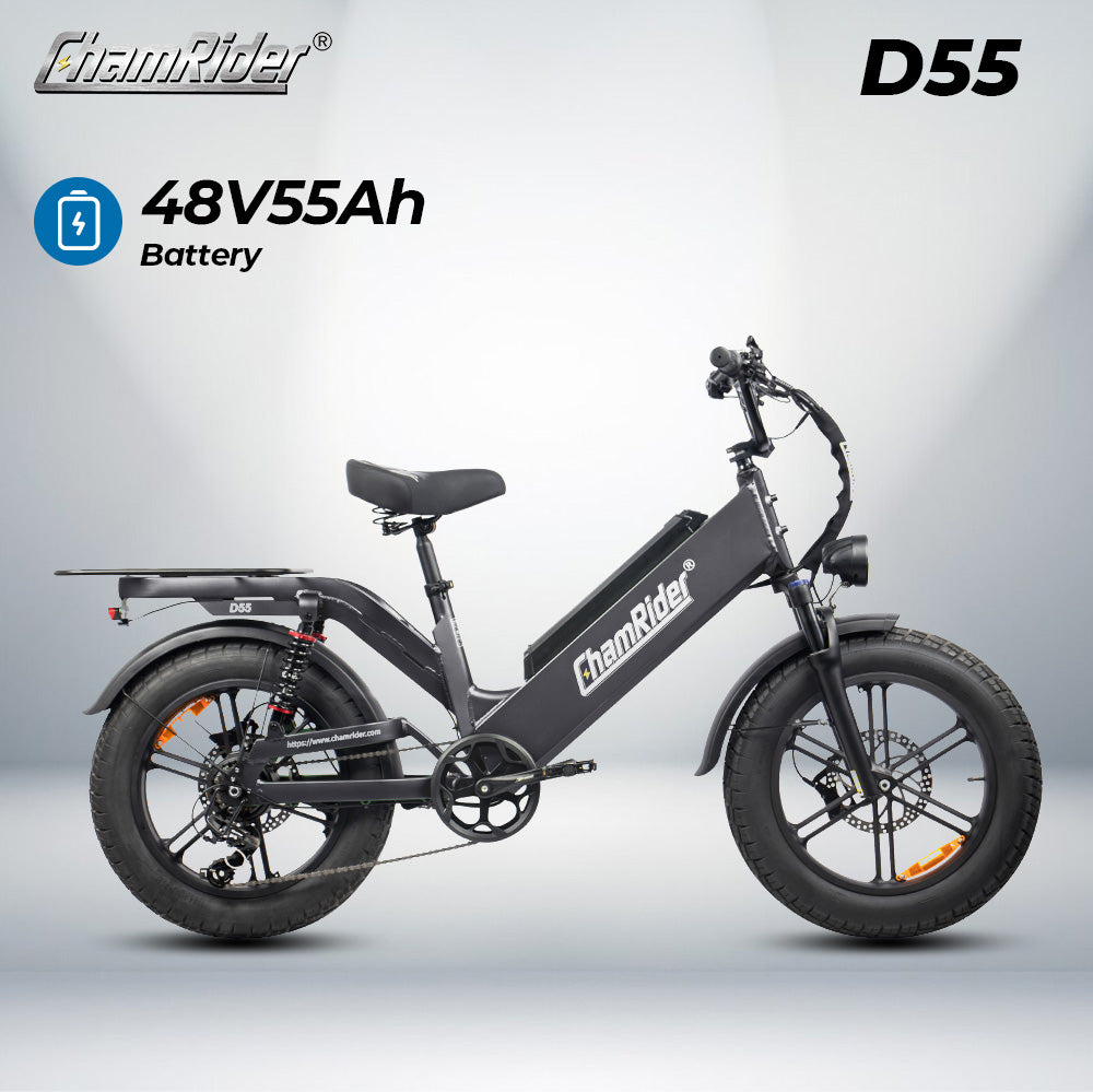 ChamRider-D55-sku-2