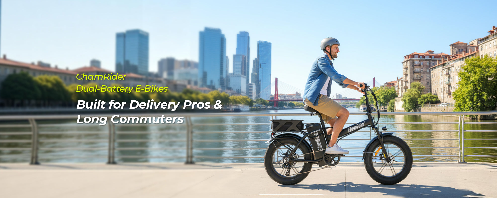 ChamRider-DTS425 pro Dual-battery-banner-1