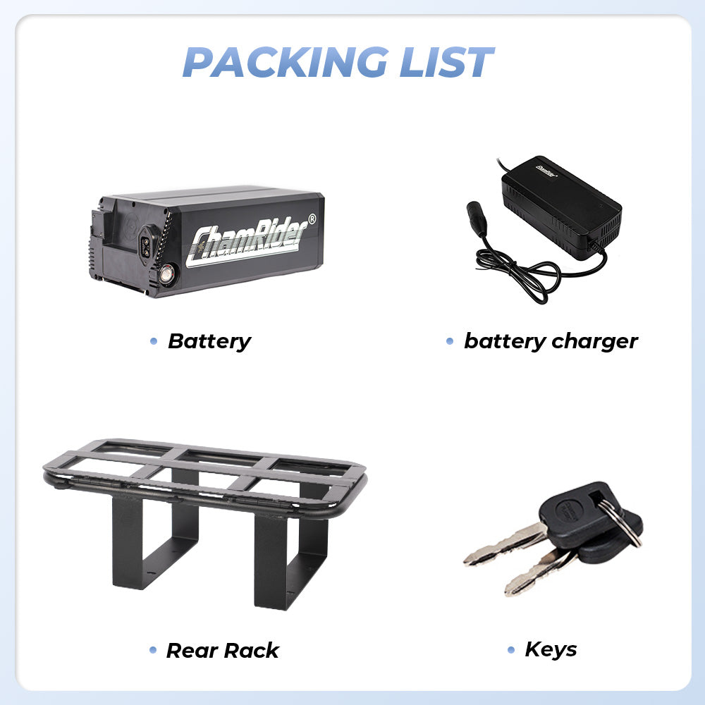 ChamRider-battery-delivery a-3