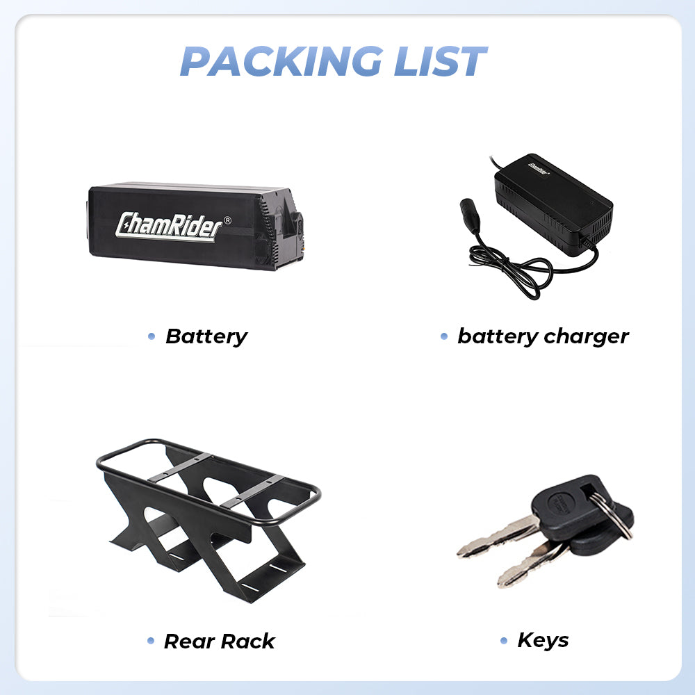 ChamRider-battery-delivery_b-5