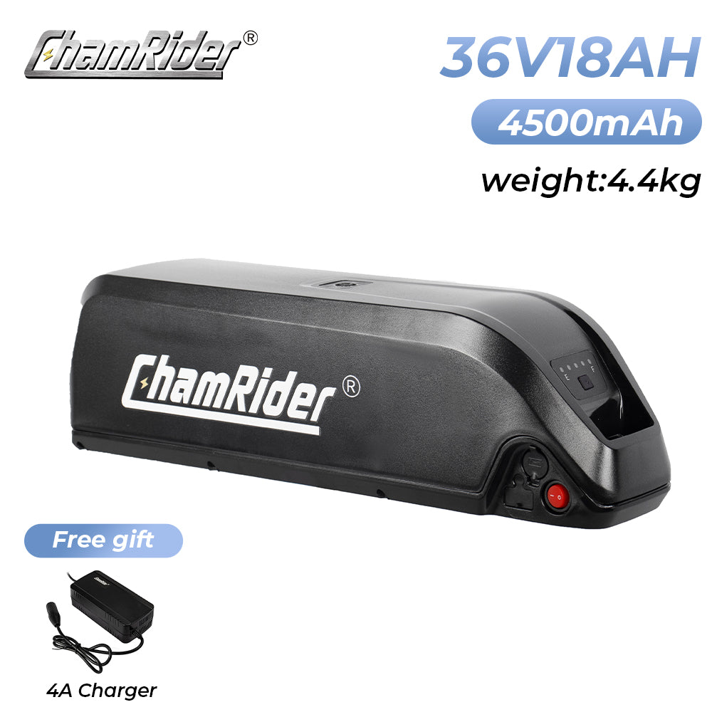 ChamRider-battery-hailong_a-3