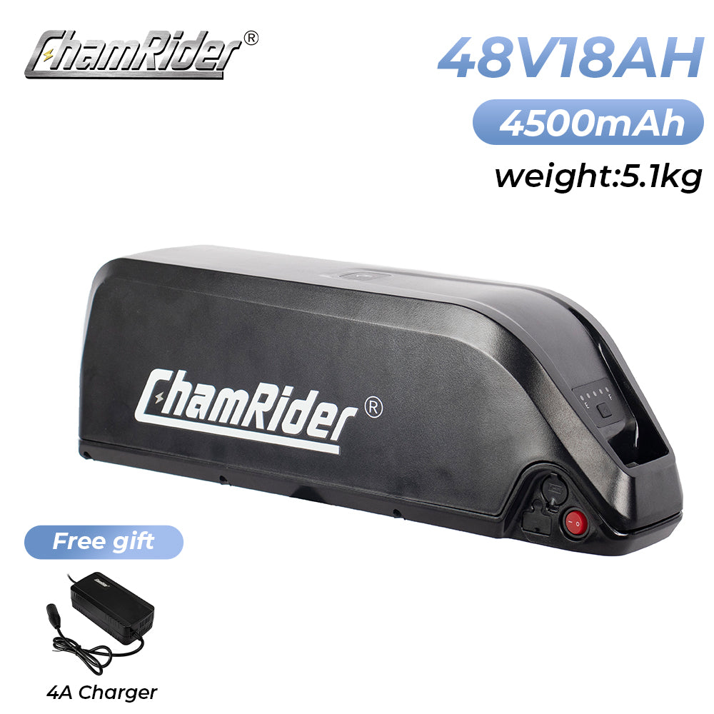 ChamRider-battery-hailong b-1