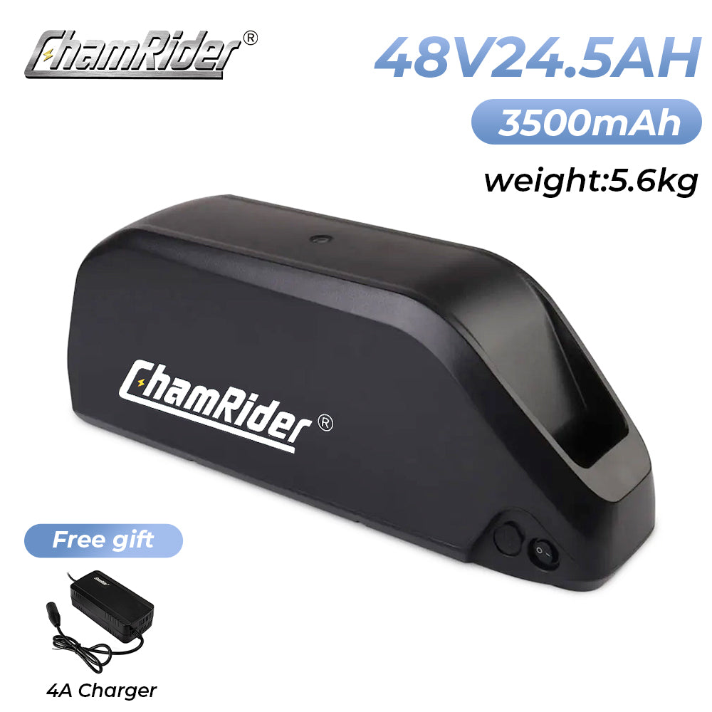 ChamRider-battery-polly 9-1
