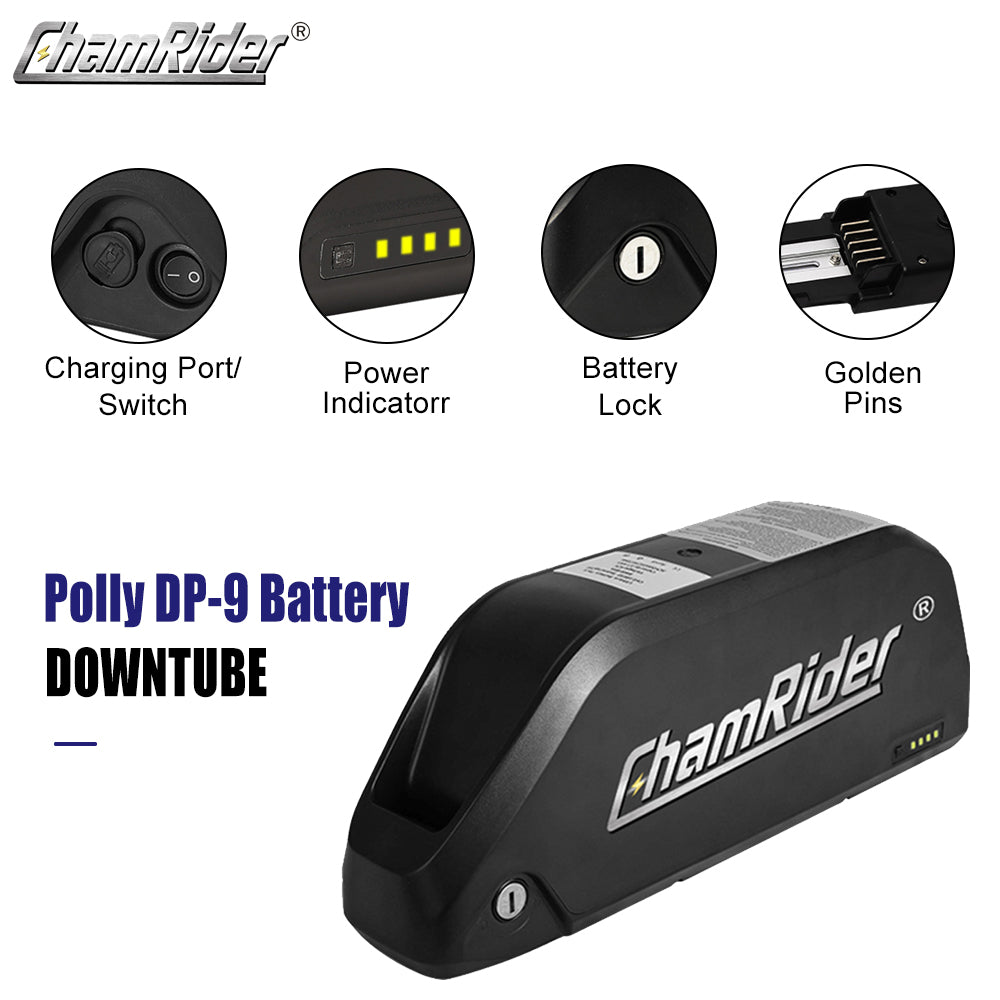 ChamRider-battery-polly 9-4