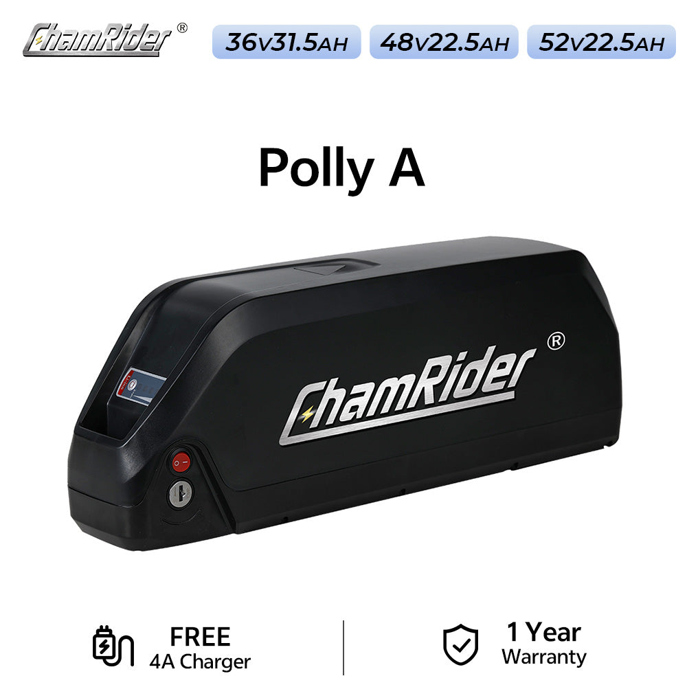 ChamRider-battery-polly_a-12