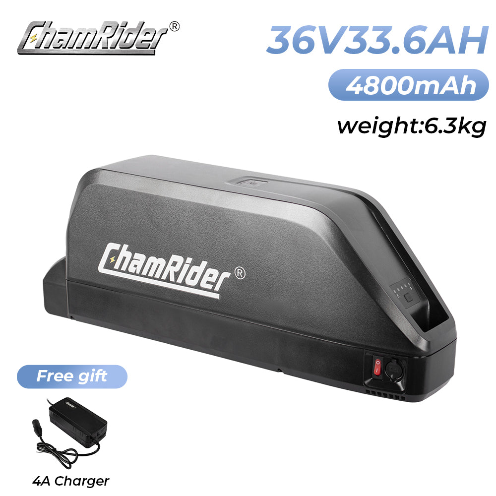 ChamRider-battery-polly c-3