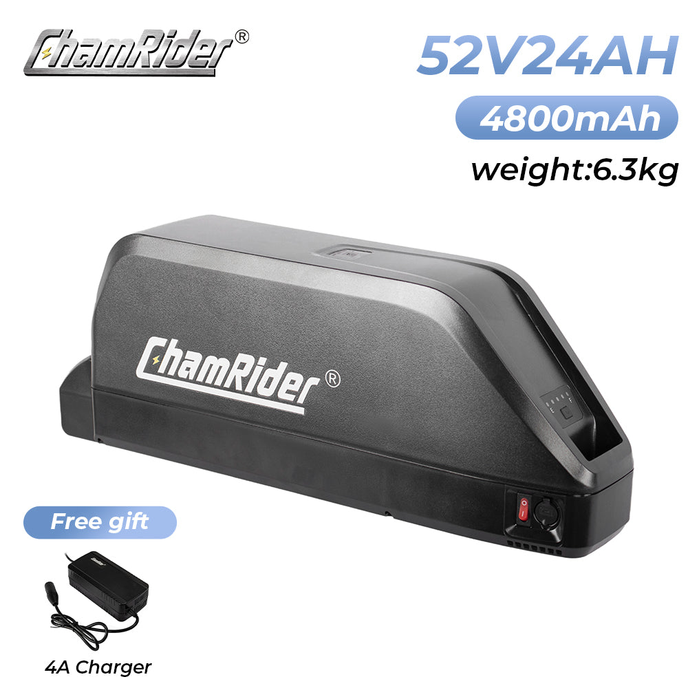 ChamRider-battery-polly c-4