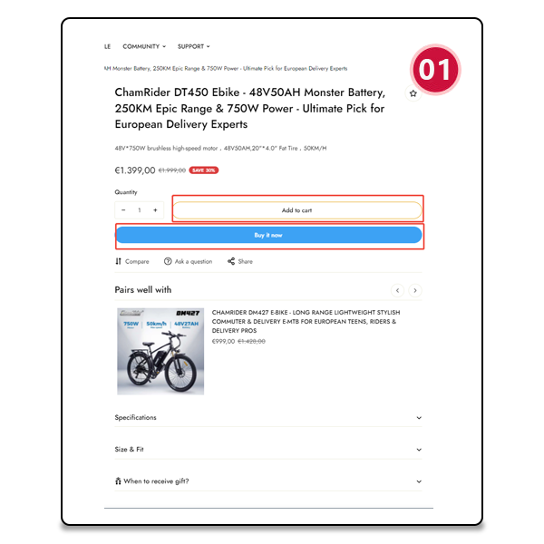 ChamRider-pay with klarna-1