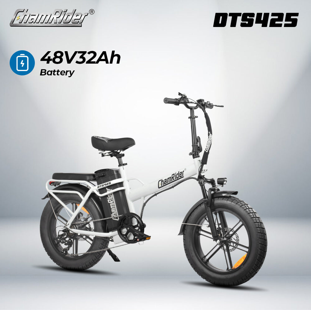 ChamRider DTS425 pro 48V32AH 750W/250W Motor E-bike for Food