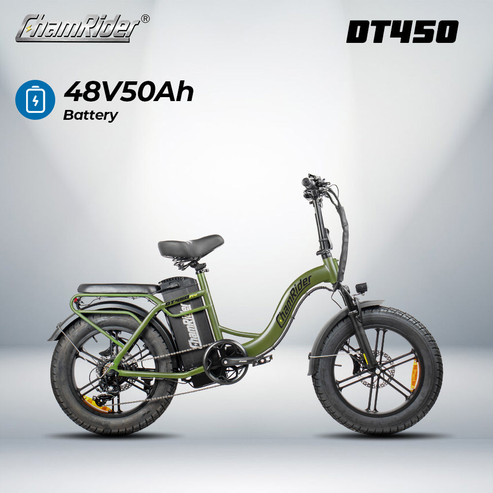 ChamRider DT450 48V E-Bike