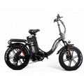 ChamRider DT450