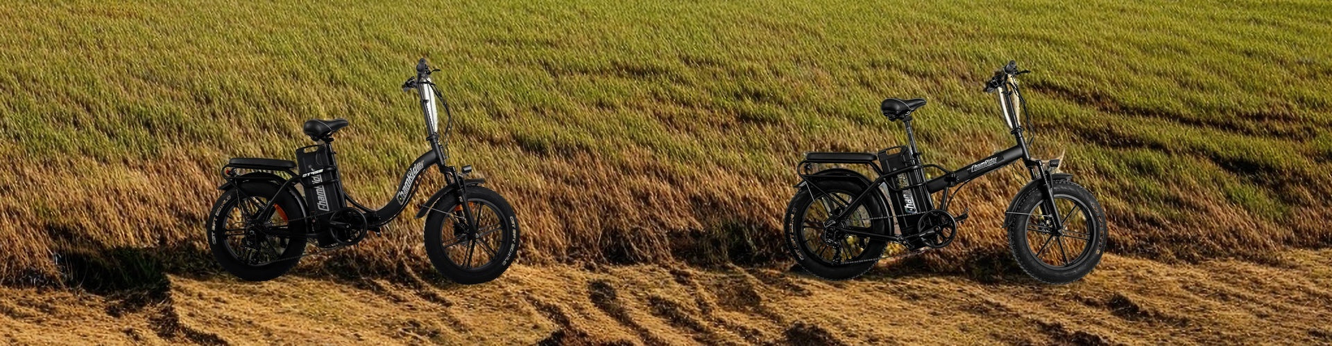 delivery e-bike