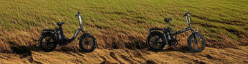 delivery e-bike