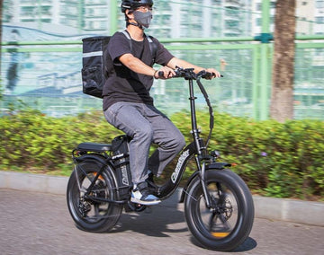 dual battery e-bike