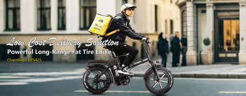 delivery e-bike