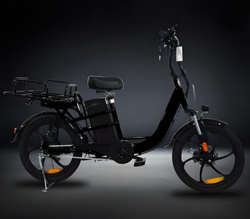 electric food delivery bike