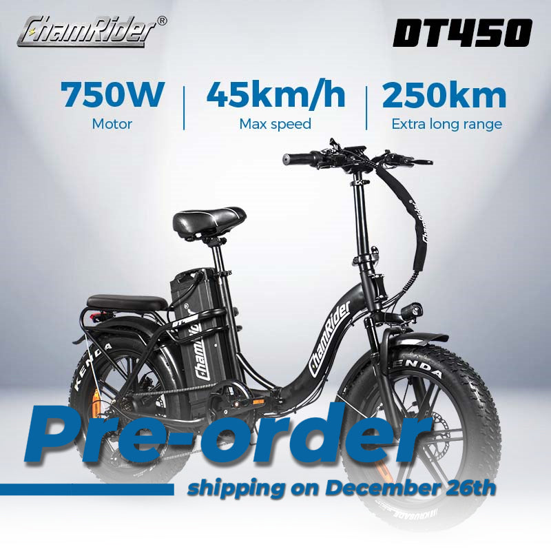 電動自転車ハブモーター　ChamRider 電動自転車ハブモーター ChamRider 電動自転車ハブモーター ChamRider