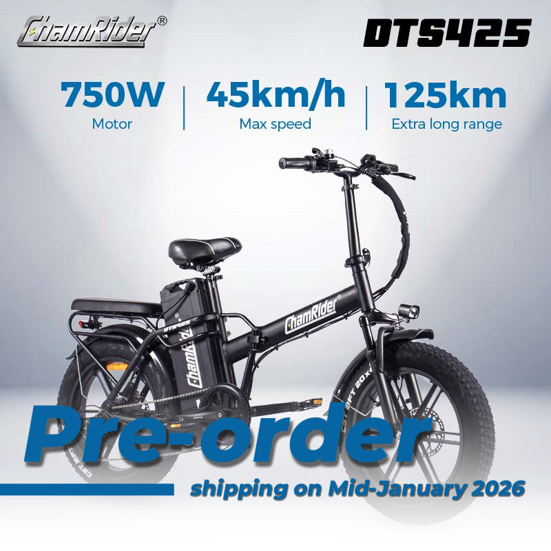 ChamRider DTS425 Ebike - (Pre-order, shipping on Mid-January,2026) 48V25AH Battery, 125KM Range & 750W Power - Best - Value Choice for European Food Delivery Riders!