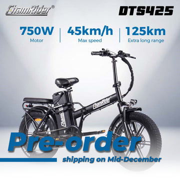 ChamRider DTS425 48V E-Bike 