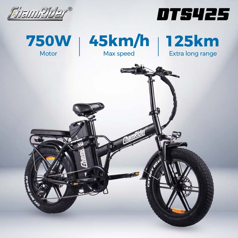 ChamRider DTS425 Ebike - 48V25AH Battery, 125KM Range & 750W Power - Best - Value Choice for European Food Delivery Riders!