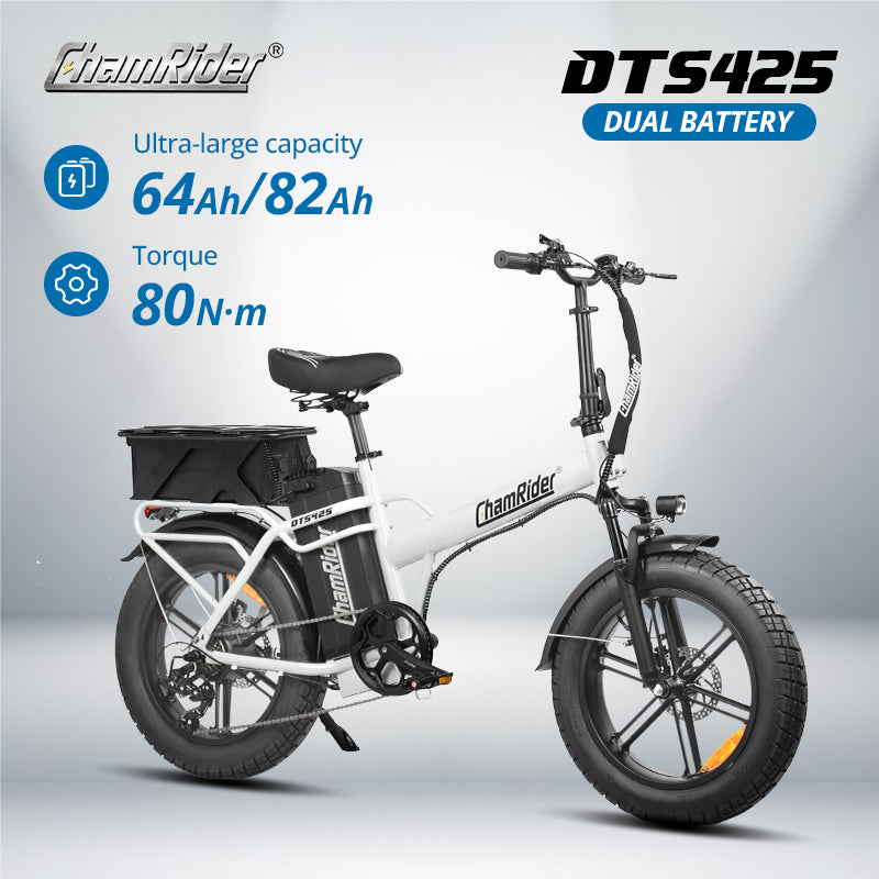 ChamRider E-bike - larger capacity ebikes for global delivery