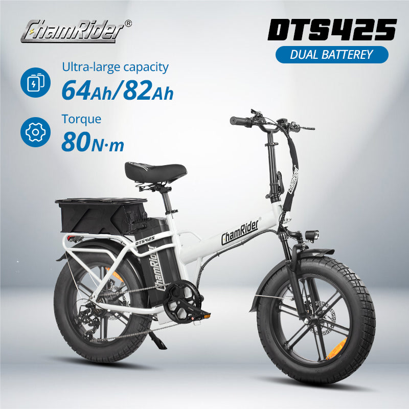 ChamRider E-bike - larger capacity ebikes for global delivery