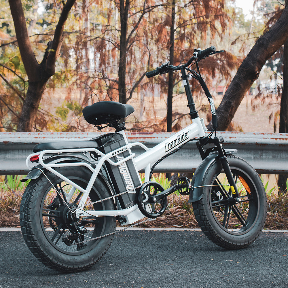 ChamRider DTS425