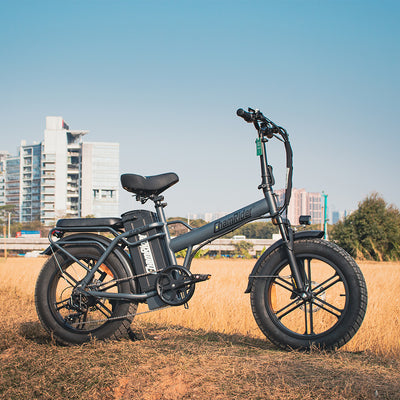 ChamRider DTS425