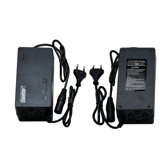 ChamRider E - bike Battery Charger - Efficient, Safe & Portable for European Cyclists & Of Delivery driver