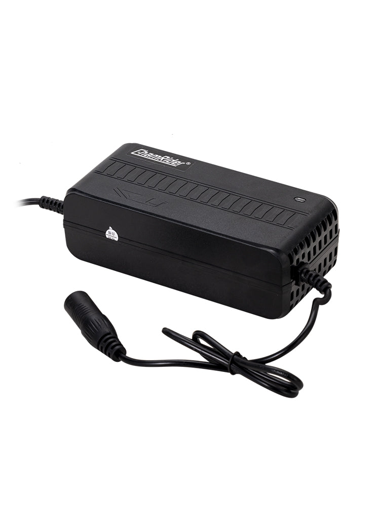 ChamRider E - bike Battery Charger - Efficient, Safe & Portable for European Cyclists & Of Delivery driver